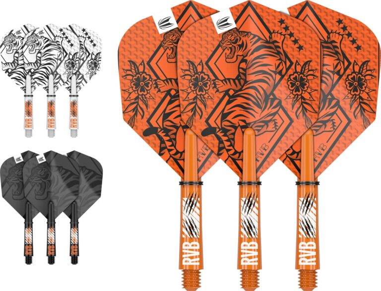 Raymond van Barneveld Flight & Shaft Kit Short